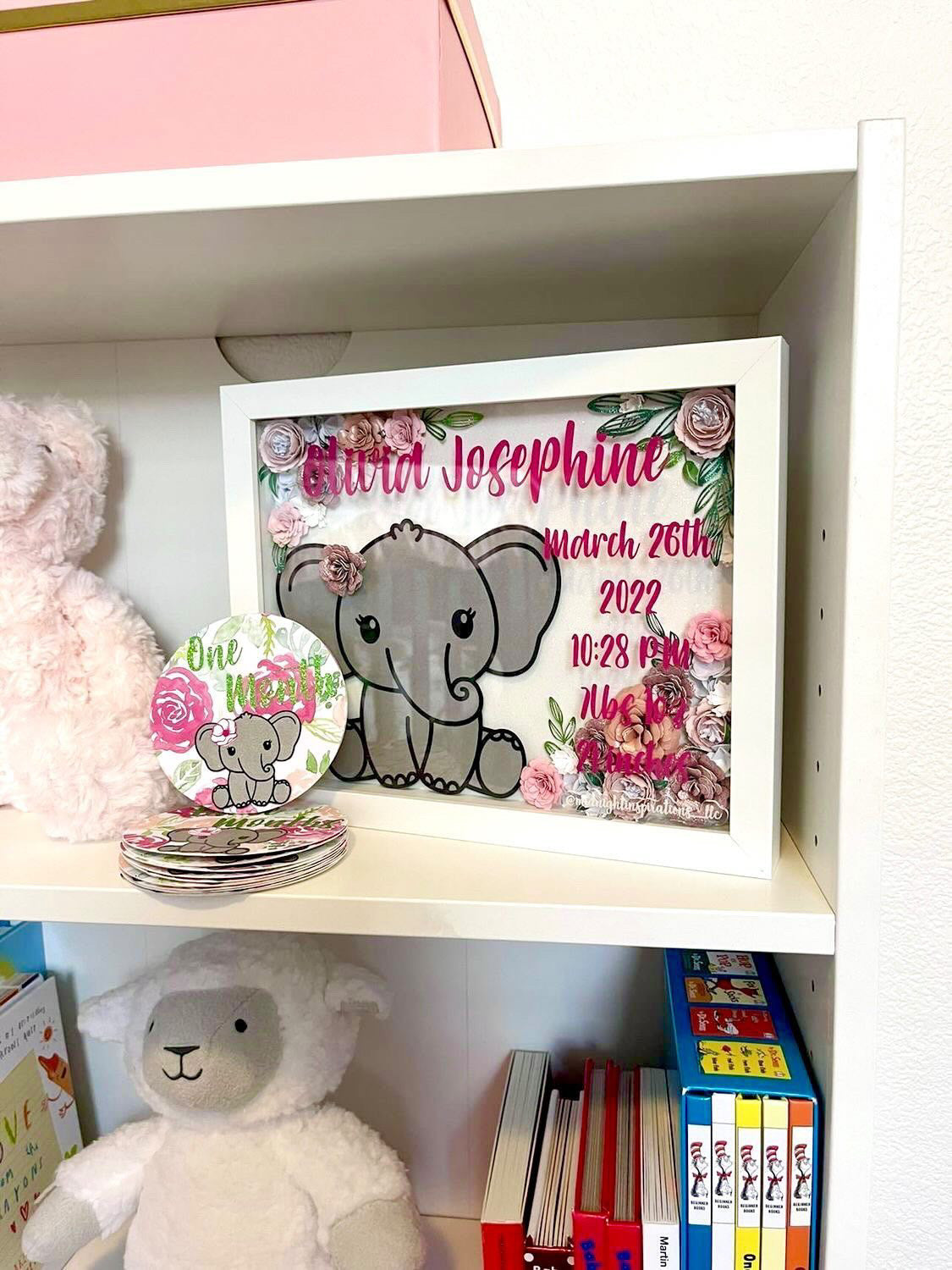Custom Baby bundle 8x10