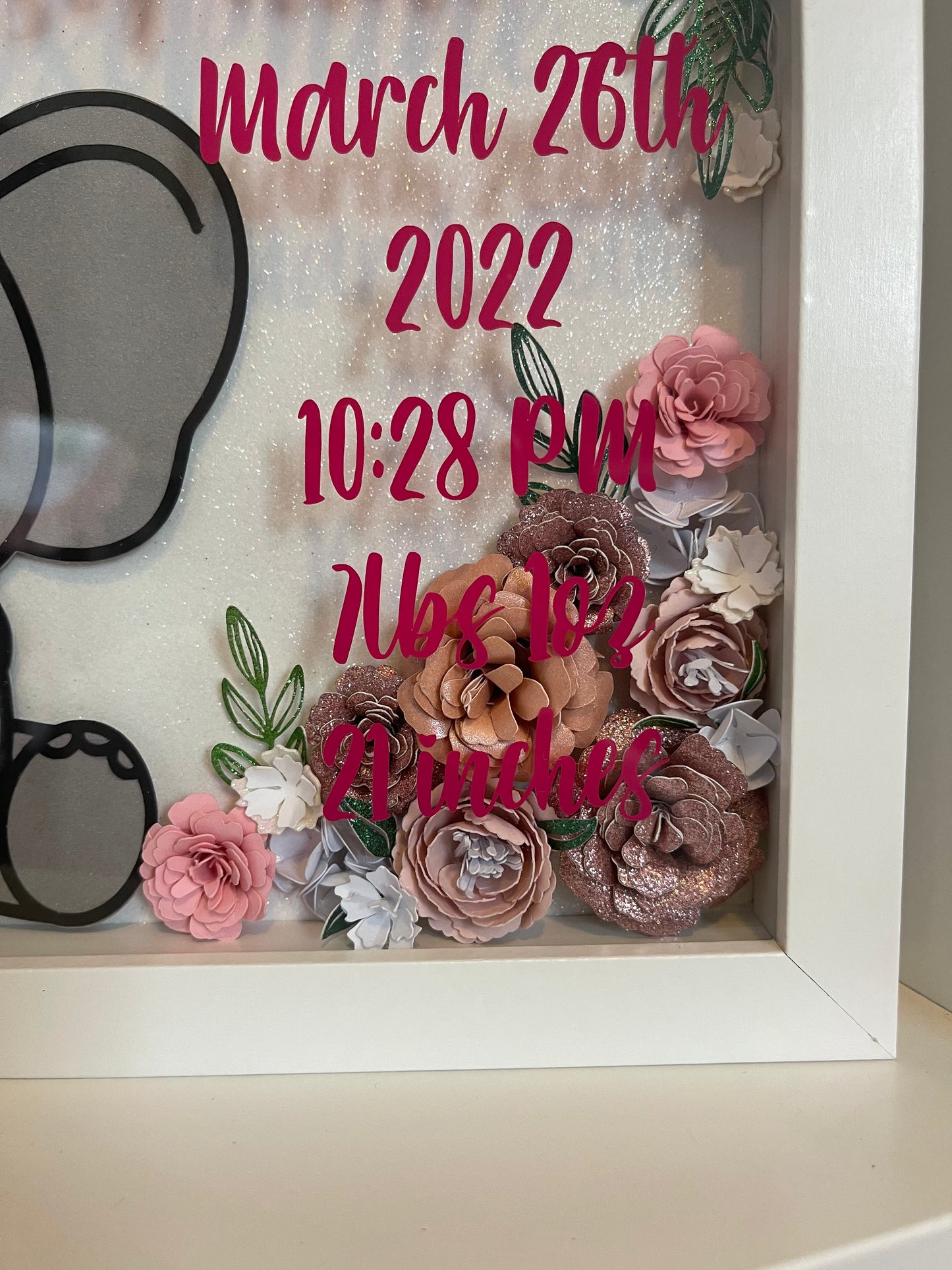 Custom Baby bundle 8x10